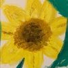 sunflowerlv